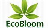 EcoBloom Naturals Logo